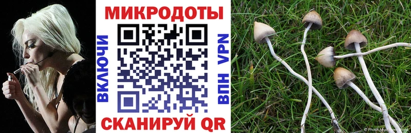 Галлюциногенные грибы ЛСД  Знаменск 